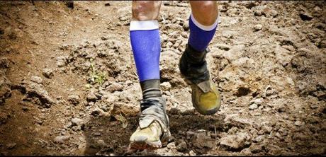 Zapping Echosciences #4