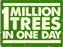 One million trees in one day