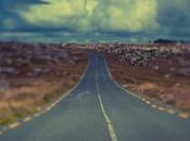 Irlande: plantation d’un million d’arbres Avril