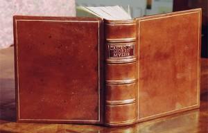 Le modèle et la catégorie