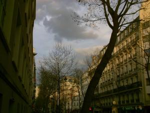 My beautiful picture