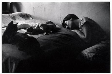 Erwitt au Palazzo Madama de Turin