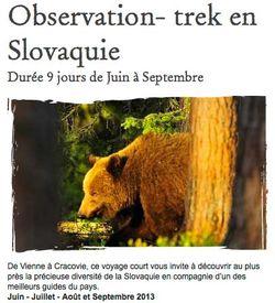 Voyage_ours_slovaquie_2