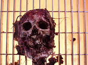 Critiques Séries Bones. Saison Episode