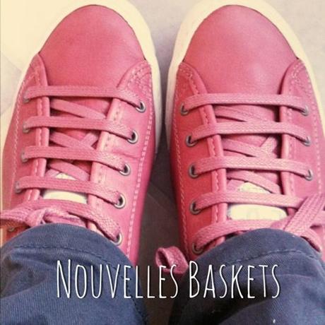 baskets palladium rose