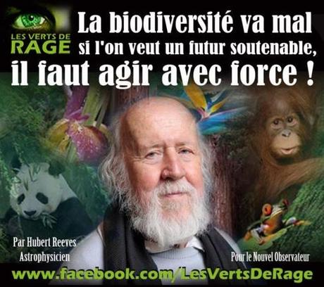 Hubert Reeves Astrophysicien