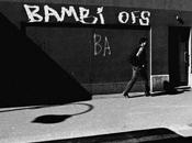 Murs-murs papier peint