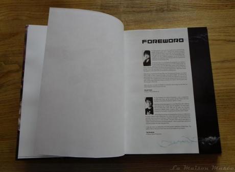 Introduction Guide Piggyback Metal Gear Rising Revengeance