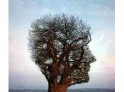 stratégie américaine dans l’économie connaissance