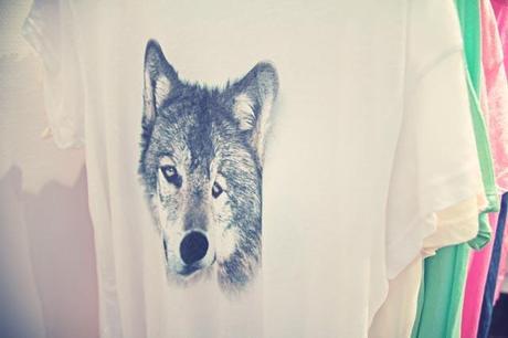 WILDFOX AW13/14, CALIFORNIAN WINTER WILDFOX AW13/14, CALIFORNIAN WINTER