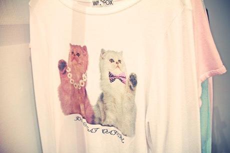 WILDFOX AW13/14, CALIFORNIAN WINTER WILDFOX AW13/14, CALIFORNIAN WINTER