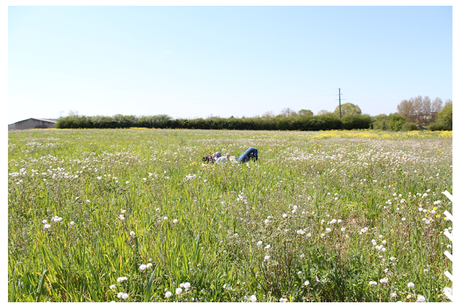 RAS I am in Paradise.