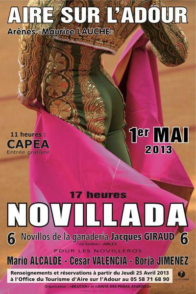 AFFICHE NOVILLADA 2013