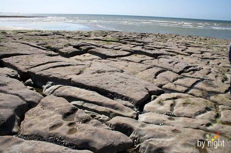 Balade sur la Côte d'Opale