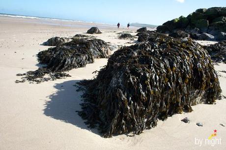 Balade sur la Côte d'Opale