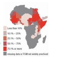 (EXCISION) LES MUTILATIONS GENITALES FEMININES EN AUGMENTATION AUX ETATS-UNIS (Afrique - pourcentages d'excisions pratiquées)