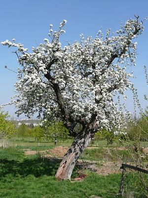 La ferme d'Ecancourt