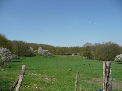 La ferme d'Ecancourt
