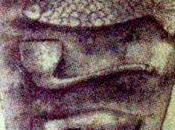 Primeurs 2012 Bordeaux vins rive droite (Côtes Bordeaux, Fronsac, etc.)