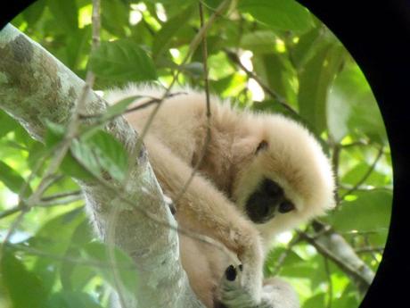 417468_10150996287310840_1235963430_n