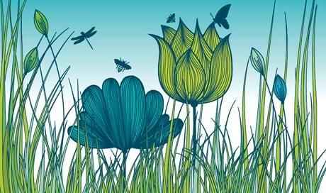 Protection de l' espace Agricole