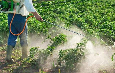 LES 12 FRUITS ET LEGUMES LES PLUS TOUCHES PAR LES PESTICIDES SELON EWG