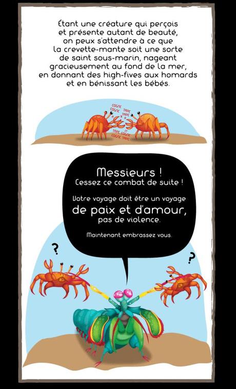La crevette-mante: entre fascination et terreur!