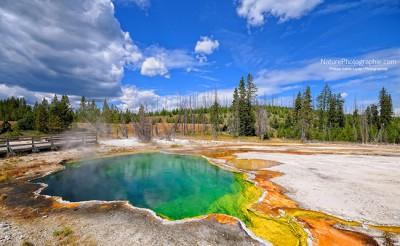 Yellowstone
