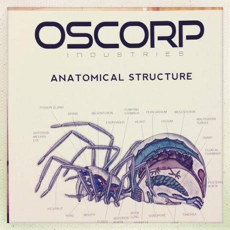 The Amazing Spider Man 2 photos