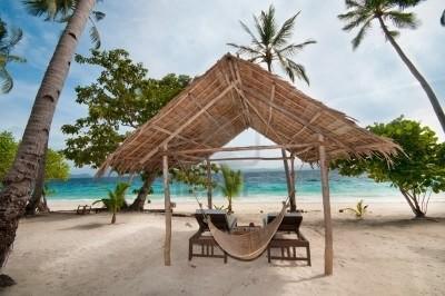une-cabane-vide-et-un-hamac-sur-une-plage-tropicale.jpg