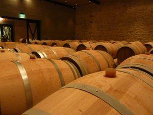 primeurs 2013 rive gauche 023