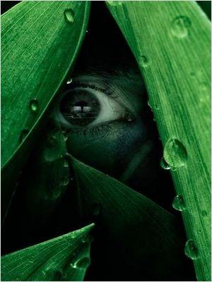 Critique The River saison 1 épisode 2