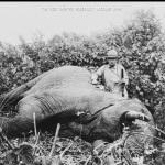 Brian Eno & Grizzly Bear {Lux & Sleeping Ute Nicolas Jaar Remixes}