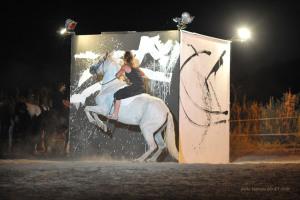 association zo meka zomeka graffiti equestre cheval
