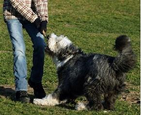 LÂCHER PRISE -just let go