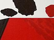 Noir, blanc rouge Michèle SALA