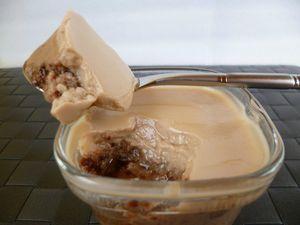 yaourts maison diététiques au chocolat (sans sucre) P1000634