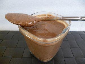 yaourts maison diététiques au chocolat (sans sucre) P1000648