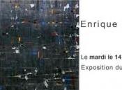 Exposition Enrique Brinkmann Confort Etranges Toulouse