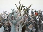 Pyrénées, Ecologie XXIe siècle s’expose Elne (66)