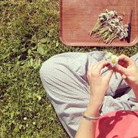 Les Photos du Dimanche #69