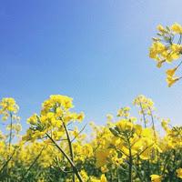 Les Photos du Dimanche #69