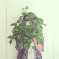 Les Photos du Dimanche #69