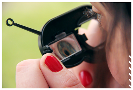 Les Photos du Dimanche #69