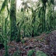 Exposition « RÊVER LES YEUX OUVERTS » au Moulin de la Filature au Blanc (36)