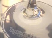 2013: sacre Terres vins Champagne