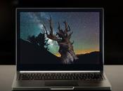 Boeuf cheval chromebook pixel …vos donnees dans cloud