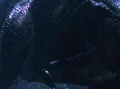 Jurassic Park Critique