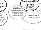 Eculizumab pour traitement neuromyélite optique IG-AQP4 positive récidivante d’autres pathologies même spectre étude pilote ouverte