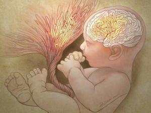 AUTISME: Détecter le risque dès la naissance sur le placenta – Biological Psychiatry